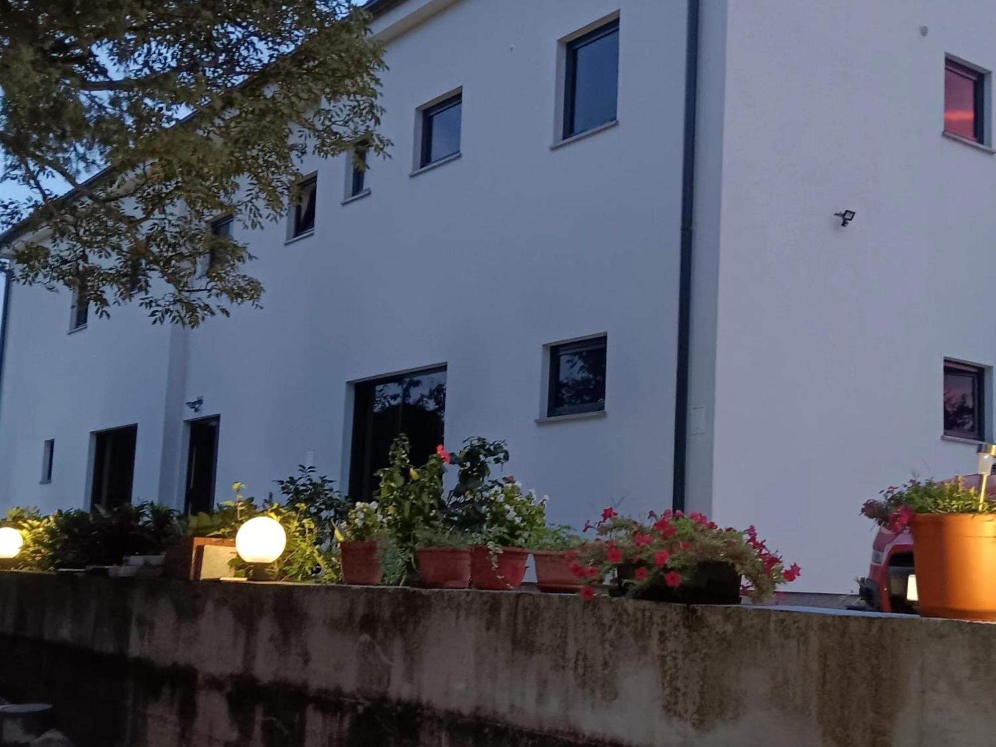 Apartment Iggy